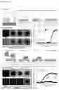 Fig. 10 - METHOD FOR PREPARING SOLVENT-FREE 3D BIOLOGICAL BILAYER MEMBRANE STRUCTURE IN PHYSIOLOGICAL SOLUTION AND 3D BIOLOGICAL BILAYER MEMBRANE STRUCTURE USING THE SAME