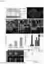 Fig. 11 - METHOD FOR PREPARING SOLVENT-FREE 3D BIOLOGICAL BILAYER MEMBRANE STRUCTURE IN PHYSIOLOGICAL SOLUTION AND 3D BIOLOGICAL BILAYER MEMBRANE STRUCTURE USING THE SAME