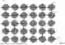 Fig. 02 - SYSTEMS AND METHODS FOR PREDICTING CROP SIZE AND YIELD