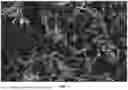 Fig. 08 - 2-HYDROXY-5-[2-(4-(TRIFLUOROMETHYLPHENYL)ETHYLAMINO)]BENZOIC ACID CRYSTAL FORMS AND PREPARATION METHOD THEREFOR