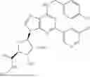 Fig. 197 - ADENOSINE A3 RECEPTOR AGONISTS, PREPARATION METHODS AND USES THEREOF