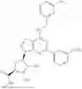 Fig. 320 - ADENOSINE A3 RECEPTOR AGONISTS, PREPARATION METHODS AND USES THEREOF