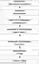 Fig. 01 - PROCESS OF MANUFACTURE OF ANNEXIN V