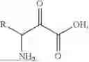 Fig. 02 - ACTIVATABLE IL-18 POLYPEPTIDES