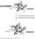 Fig. 08 - ACTIVATABLE IL-18 POLYPEPTIDES