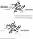 Fig. 09 - ACTIVATABLE IL-18 POLYPEPTIDES