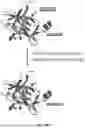 Fig. 11 - ACTIVATABLE IL-18 POLYPEPTIDES