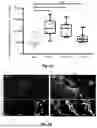 Fig. 05 - METHOD