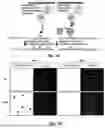 Fig. 09 - METHOD