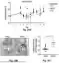 Fig. 27 - METHOD