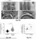 Fig. 30 - METHOD