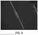 Fig. 09 - GENETICALLY MODIFIED SORGHUM AND METHODS OF GENETICALLY ENGINEERING SORGHUM TO CONTROL CROSS-INCOMPATIBILITY