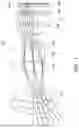Fig. 02 - Image capturing lens system
