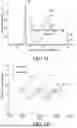 Fig. 06 - Metasurface optical components for altering incident light