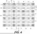 Fig. 05 - PHYSICAL LAYOUTS OF MAJORANA-BASED QUBITS FOR IMPLEMENTATIONS OF PENTAGONAL TILINGS