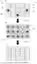 Fig. 32 - GAMING MACHINE, CONTROL METHOD FOR MACHINE, AND PROGRAM FOR GAMING MACHINE