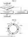 Fig. 06 - PLASMA PROCESSING APPARATUS AND CLEANING METHOD