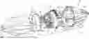 Fig. 01 - Spincast reels