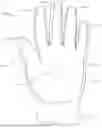 Fig. 02 - WASTE RECEIVING GLOVE