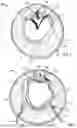 Fig. 02 - Brim for attaching to headgear
