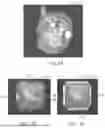 Fig. 08 - IN-VIVO VISUALIZATION SYSTEMS