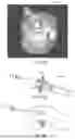 Fig. 10 - IN-VIVO VISUALIZATION SYSTEMS