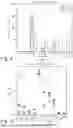 Fig. 08 - ADMINISTRATION REGIMENS FOR MICRONEEDLE PATCH DEVICES FOR DELIVERY OF IMMUNOGENIC COMPOSITIONS