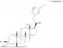 Fig. 10 - USE OF NEUROACTIVE STEROIDS FOR TREATMENT OF SEXUAL DYSFUNCTION