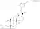 Fig. 48 - USE OF NEUROACTIVE STEROIDS FOR TREATMENT OF SEXUAL DYSFUNCTION