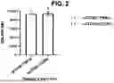 Fig. 03 - USE OF TIM-3 CYTOPLASMIC TAIL IN CHIMERIC ANTIGEN RECEPTORS