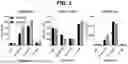 Fig. 04 - USE OF TIM-3 CYTOPLASMIC TAIL IN CHIMERIC ANTIGEN RECEPTORS