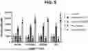 Fig. 06 - USE OF TIM-3 CYTOPLASMIC TAIL IN CHIMERIC ANTIGEN RECEPTORS