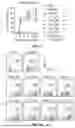Fig. 07 - CCR4-Targeting Chimeric Antigen Receptor Cell Therapy