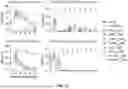 Fig. 09 - CCR4-Targeting Chimeric Antigen Receptor Cell Therapy