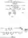Fig. 02 - METHODS AND COMPOSITIONS FOR PRODUCTION OF GENETICALLY MODIFIED PRIMARY CELLS