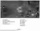 Fig. 02 - METHOD AND ELECTRONIC DEVICE FOR PROCESSING GAME SIGNAL