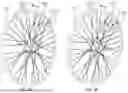 Fig. 06 - Apparatus, systems, and methods for single-sided locks