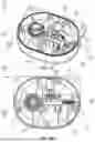 Fig. 08 - Apparatus, systems, and methods for single-sided locks