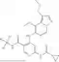 Fig. 1004 - TYK2 inhibitors and compositions and methods thereof