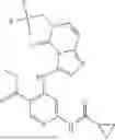 Fig. 176 - TYK2 inhibitors and compositions and methods thereof