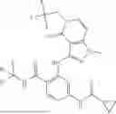 Fig. 181 - TYK2 inhibitors and compositions and methods thereof