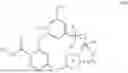 Fig. 19 - TYK2 inhibitors and compositions and methods thereof