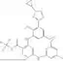 Fig. 216 - TYK2 inhibitors and compositions and methods thereof