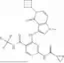 Fig. 239 - TYK2 inhibitors and compositions and methods thereof