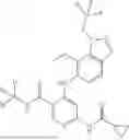Fig. 258 - TYK2 inhibitors and compositions and methods thereof