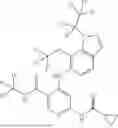 Fig. 263 - TYK2 inhibitors and compositions and methods thereof