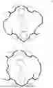 Fig. 02 - AZA-CRYPTOPHANES, PROCESSES FOR PREPARATION THEREOF, AND THEIR USES