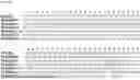 Fig. 08 - VEGF TRAPS AND MINI-TRAPS AND METHODS FOR TREATING OCULAR DISORDERS AND CANCER