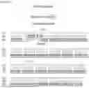 Fig. 43 - VEGF TRAPS AND MINI-TRAPS AND METHODS FOR TREATING OCULAR DISORDERS AND CANCER