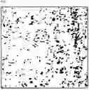 Fig. 02 - BIAXIALLY ORIENTED POLYESTER FILM AND PRODUCTION METHOD THEREFOR